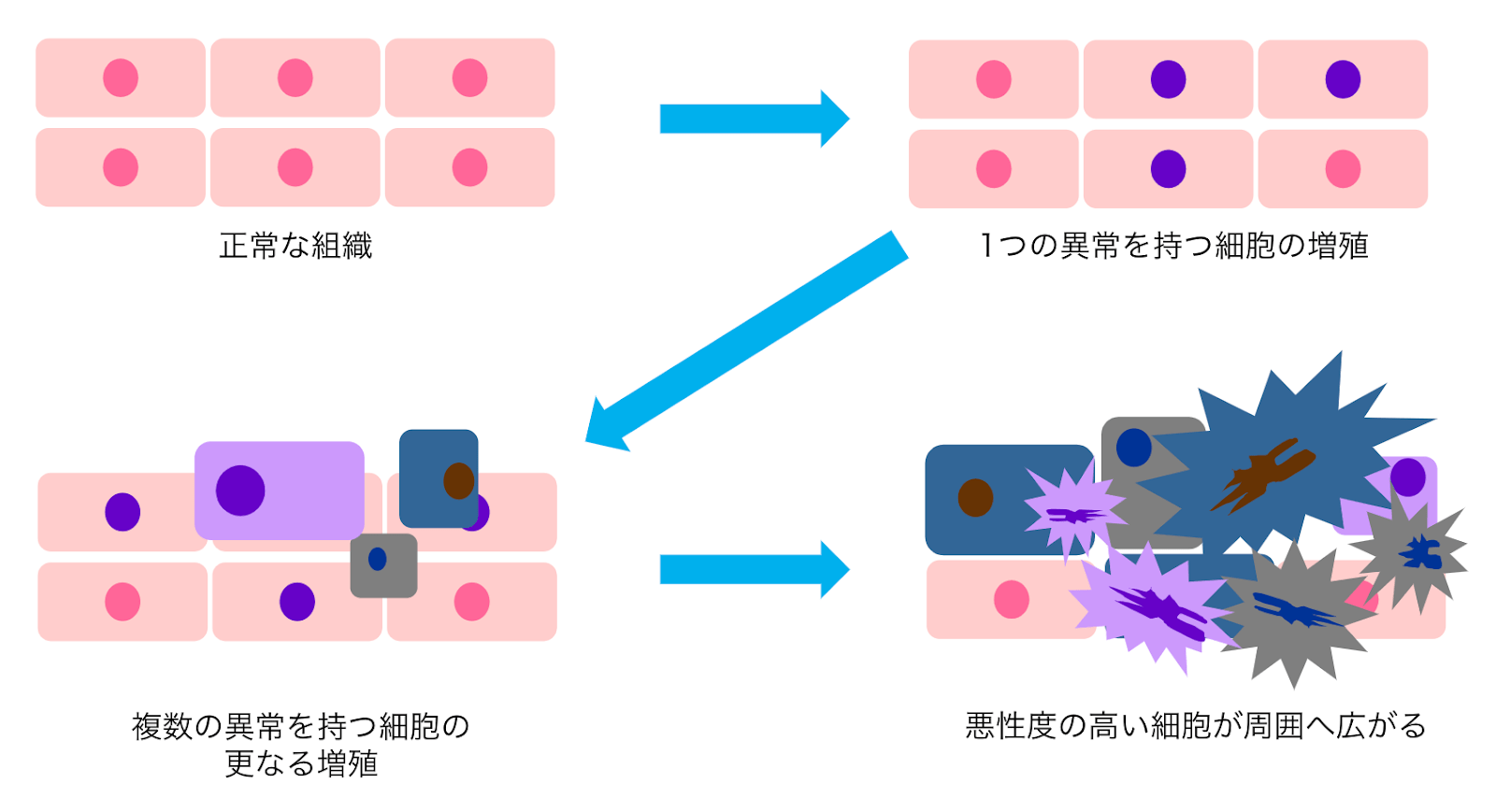 がん細胞と免疫の働きについて | がん免疫療法 - NEOクリニック東京